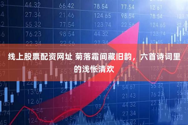 线上股票配资网址 菊落霜间藏旧韵，六首诗词里的浅怅清欢